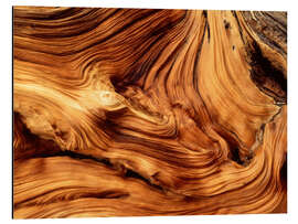 Aluminium print Pine wood close-up