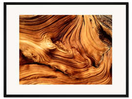 Gerahmter Kunstdruck Pinienholz Nahaufnahme