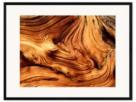 Kunsttryk i ramme Pine wood close-up