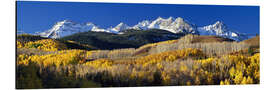 Alubild Rocky Mountains im Herbst