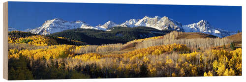 Hout print Rocky Mountains in de herfst