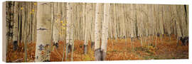 Puutaulu Autumnal birch forest