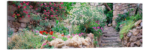 Gallery print Flower garden in Catalonia