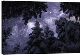 Canvas print Winter night under the Milky Way