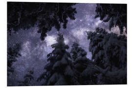 Foam board print Winter night under the Milky Way