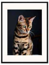 Gerahmter Kunstdruck Bengalkatze I