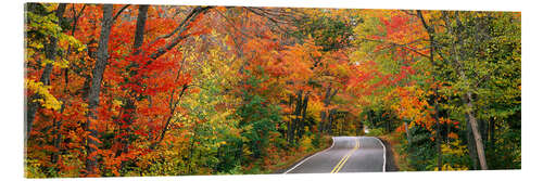 Acrylic print Indian Summer