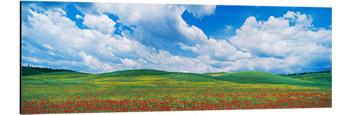 Aluminium print The green hills of Tuscany