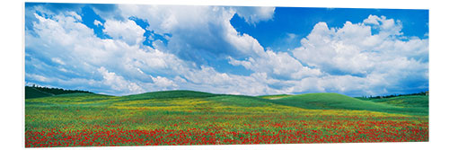 Foam board print The green hills of Tuscany