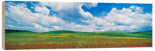 Trebilde The green hills of Tuscany