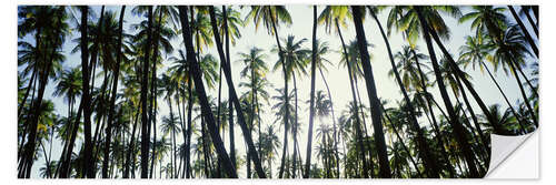 Wall sticker Palm grove