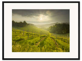 Gerahmter Kunstdruck Weinberg in der Südsteiermark