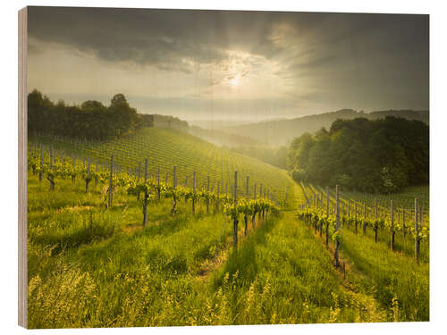 Hout print Vineyard in Southern Styria