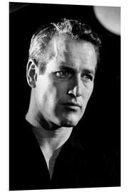 Foam board print Paul Newman