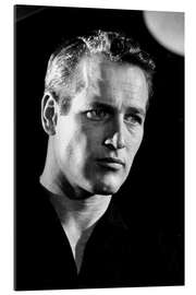 Gallery print Paul Newman