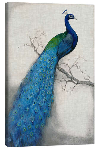 Canvas print Peacock Blue I