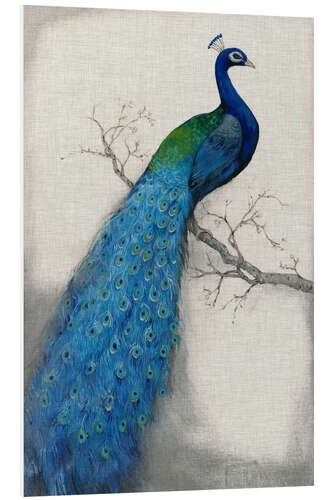 Foam board print Peacock Blue I