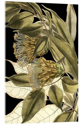Acrylglas print Tranquil Tropical Leaves VI
