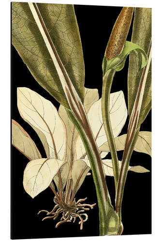 Aluminium print Tranquil Tropical Leaves V