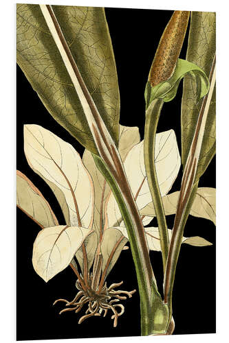 PVC-taulu Tranquil Tropical Leaves V