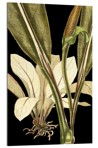 Gallery print Tranquil Tropical Leaves V