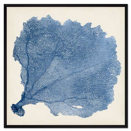 Gerahmter Kunstdruck Seefächer blau