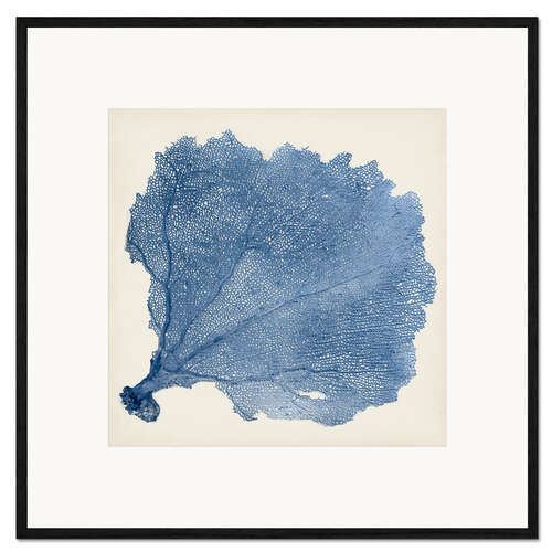 Framed art print Sea fan blue