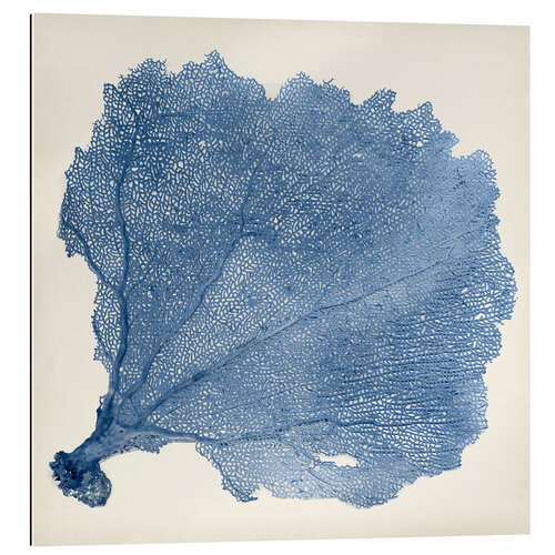 Gallery print Sea fan blue