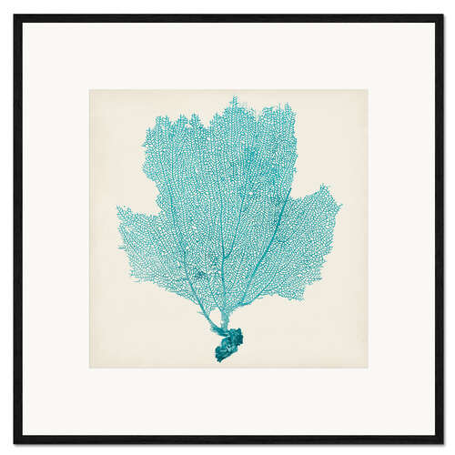 Ingelijste kunstdruk Sea fan turquoise