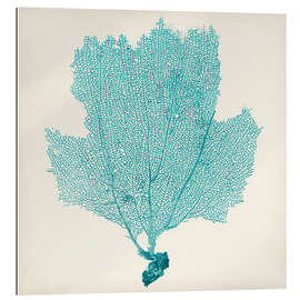 Gallery print Sea fan turquoise