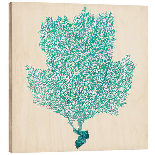 Wood print Sea fan turquoise