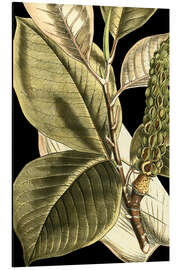 Magnettafel Stillleben mit tropischen Blättern II