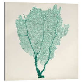 Gallery print Sea fans emerald