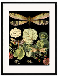 Gerahmter Kunstdruck Wunderhafte Libelle II