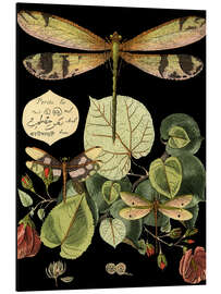 Magnettafel Wunderhafte Libelle II