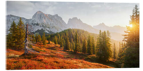 Acrylic print Golden morning