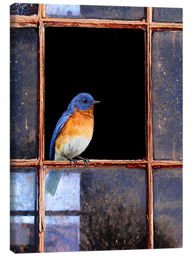 Canvas print Bluebird at the window