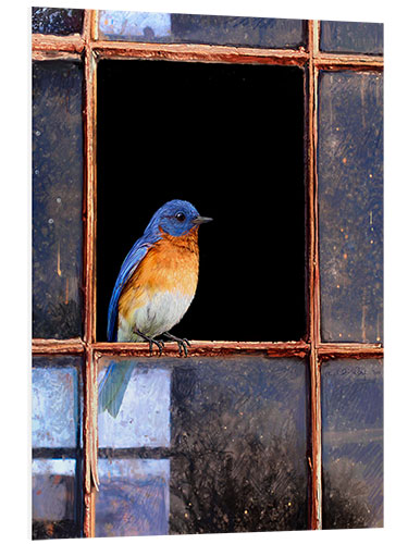 Cuadro de PVC Pájaro azul en la ventana