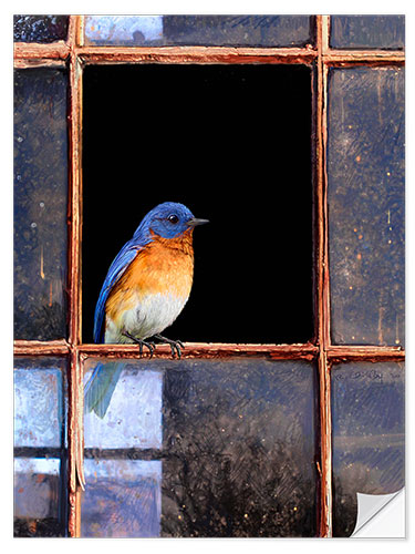 Vinilo para la pared Pájaro azul en la ventana