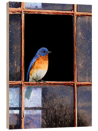 Obraz na drewnie Bluebird at the window