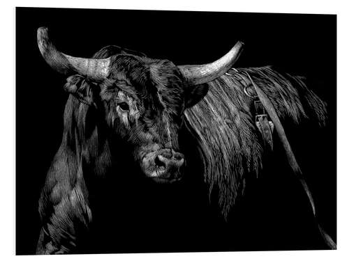 Foam board print Rodeo bull