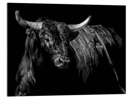 Gallery print Rodeo bull