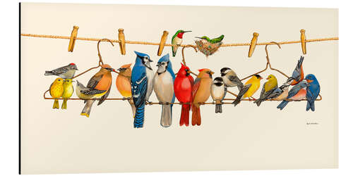 Alubild Vogel-Menagerie II