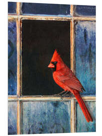 Foam board print Cardinal at the window