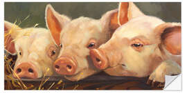 Selvklebende plakat Three little pigs