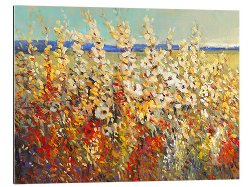 Gallery print Field of Spring Flowers II