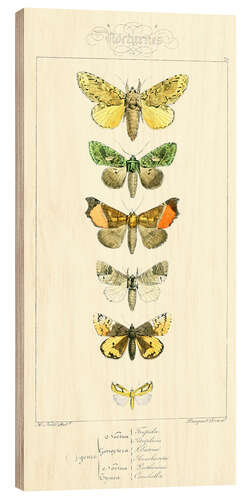 Wood print Butterflies II