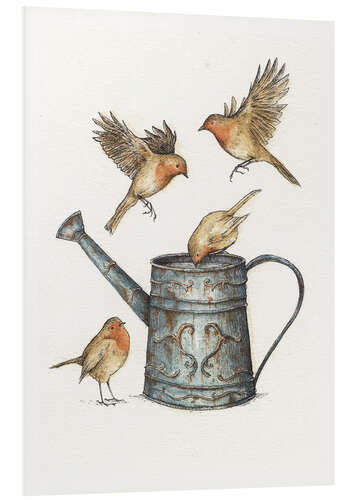 Foam board print Robins at the watering can