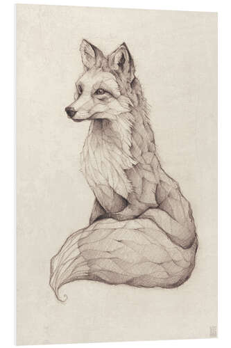 PVC print Vulpes vulpes - vintage