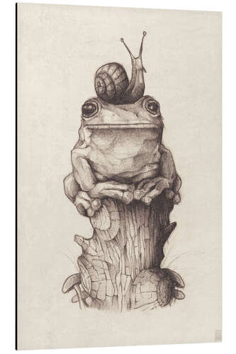 Alumiinitaulu The frog and the snail, vintage